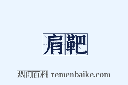 肩靶是什么意思的图片
